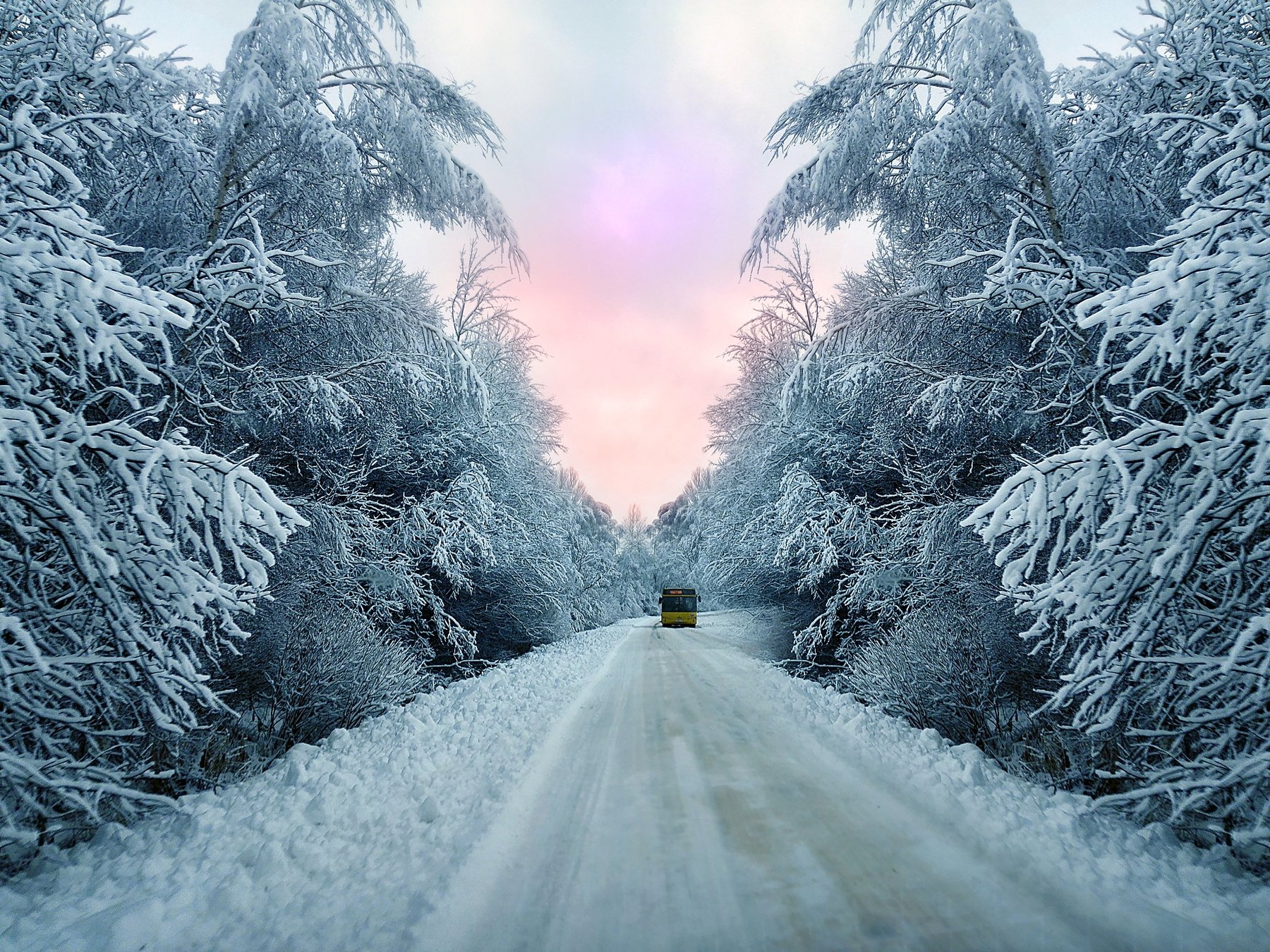 зимний маршрут автобус природа зима беларусь помолейко pomoleyko снег деревья день дорога, Павел Помолейко