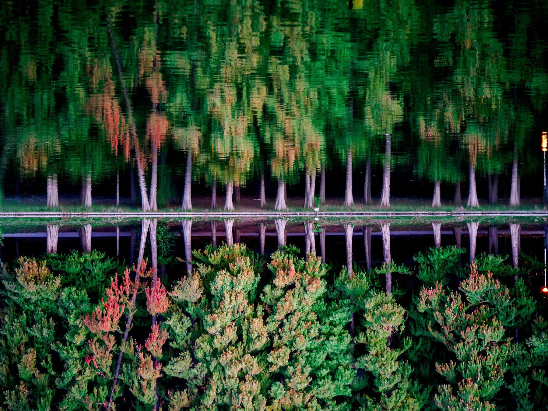 landscape, lake, trees, autumn, leaves, reflection, Marius Surleac