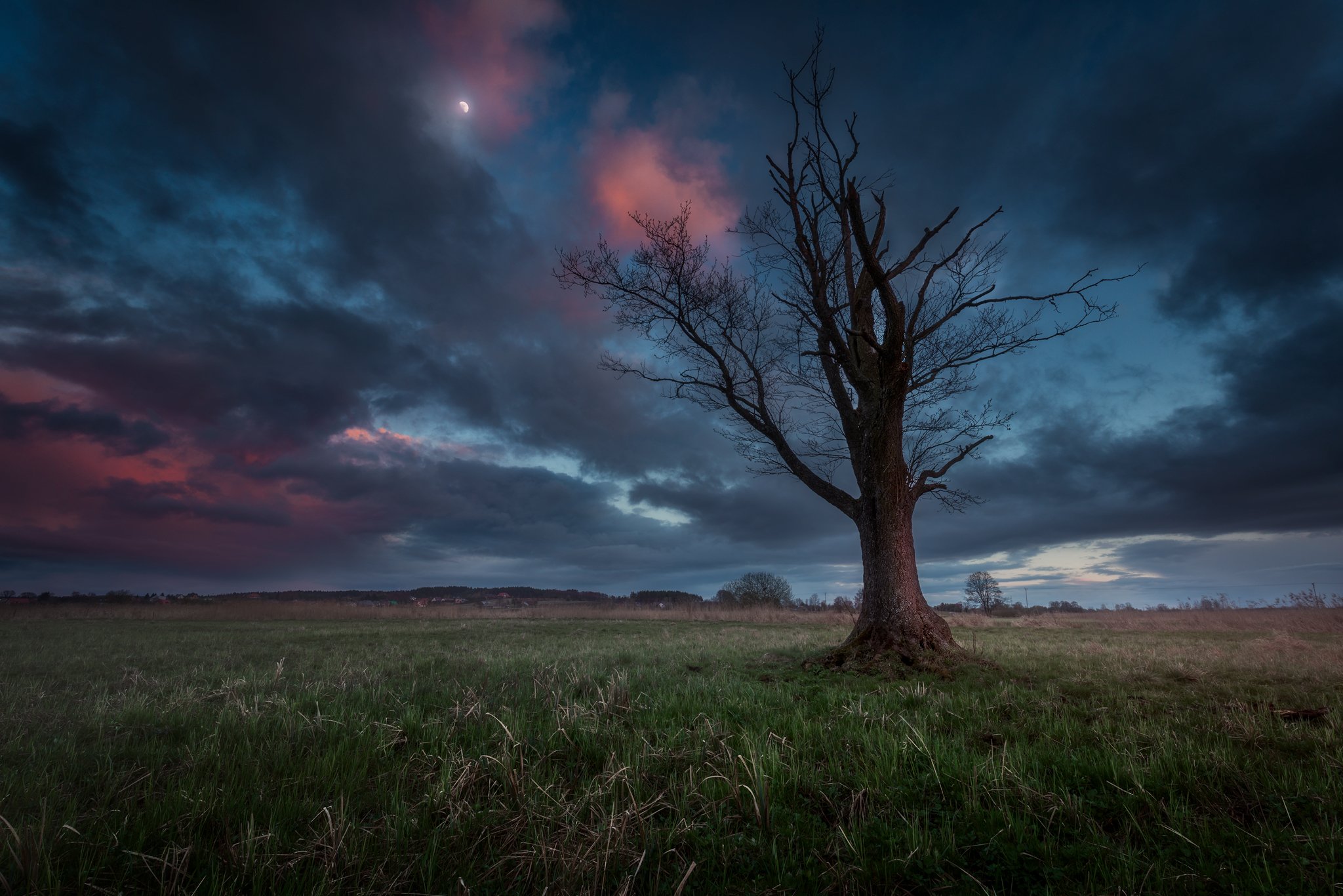 tree twilight moon sky clouds colors mood spring poland podlasie, Maciej Warchoł