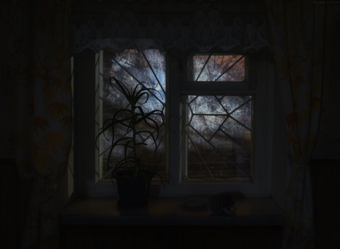 окно, кружка, цветок, подоконник, свет, ночь, Максим Сухов