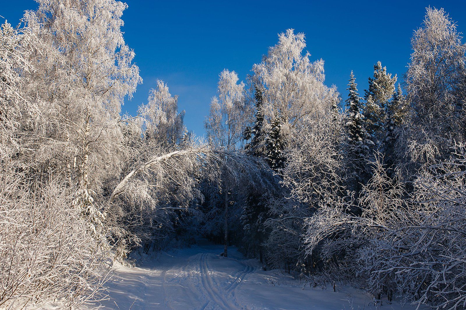 зима, лес, природа, урал, златоуст, пейзаж, снег, заснеженные деревья, Евгений Толкачёв