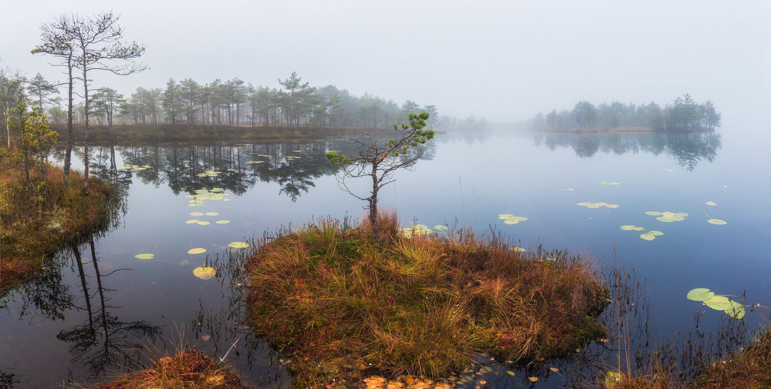 туман ,озеро, природа ,панорама, мороз, Павел Ващенков