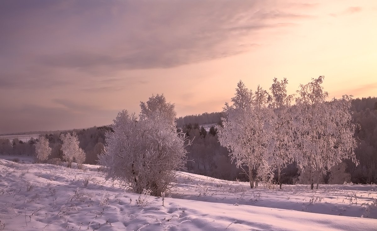 , Николай М