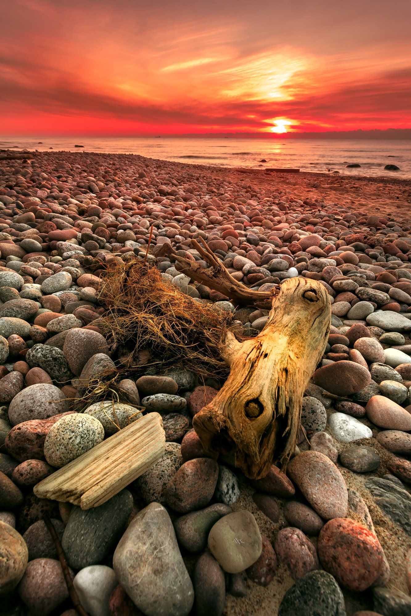 seascape, baltic sea, sunset, wood, colors, Руслан Болгов (Axe)