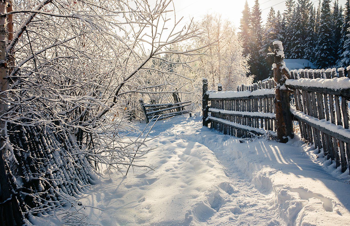 пейзаж, природа, зима, лес, снег, урал, россия, Евгений Толкачёв