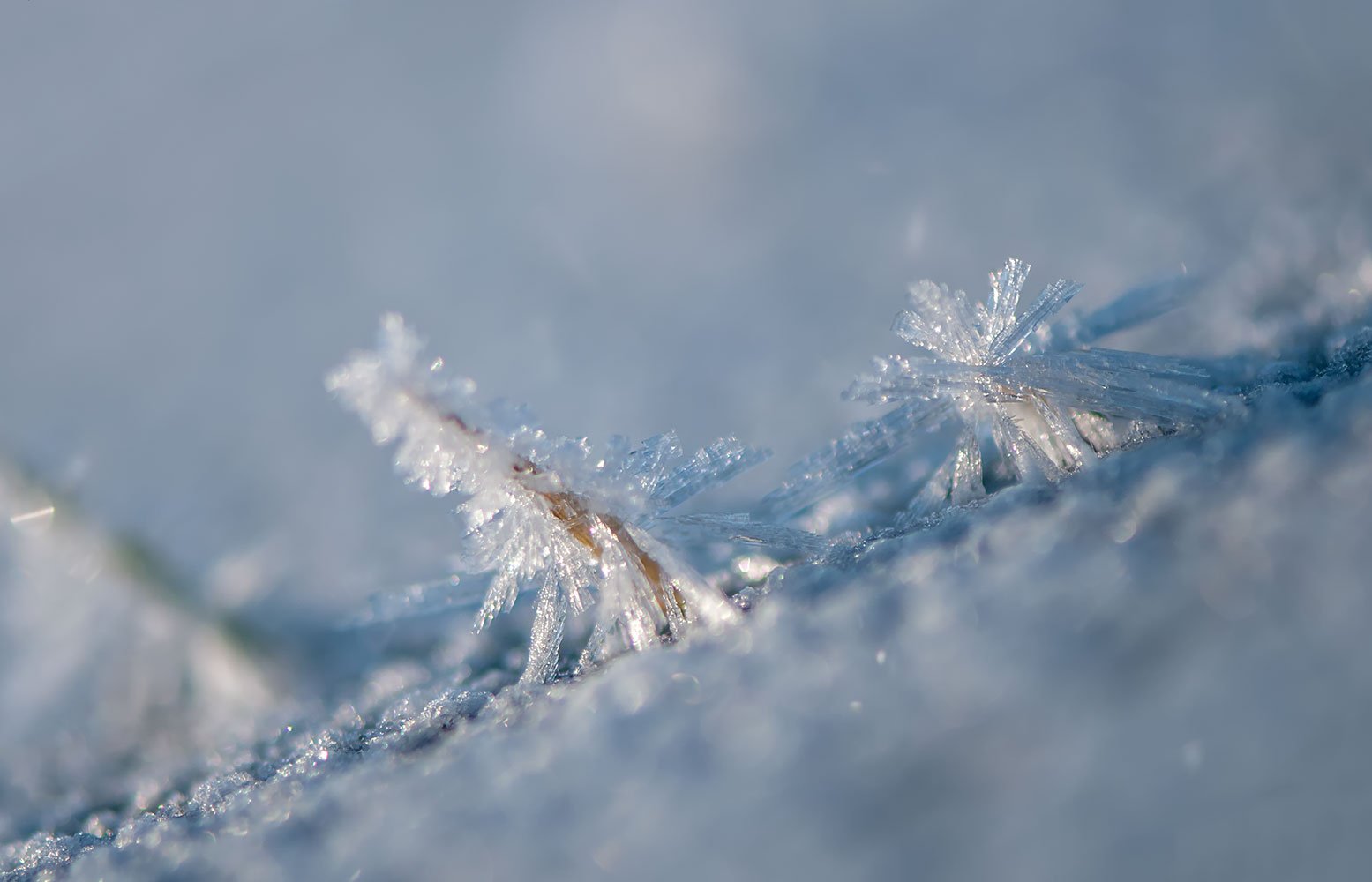 ice,winter,snow, Daiva Cirtautė