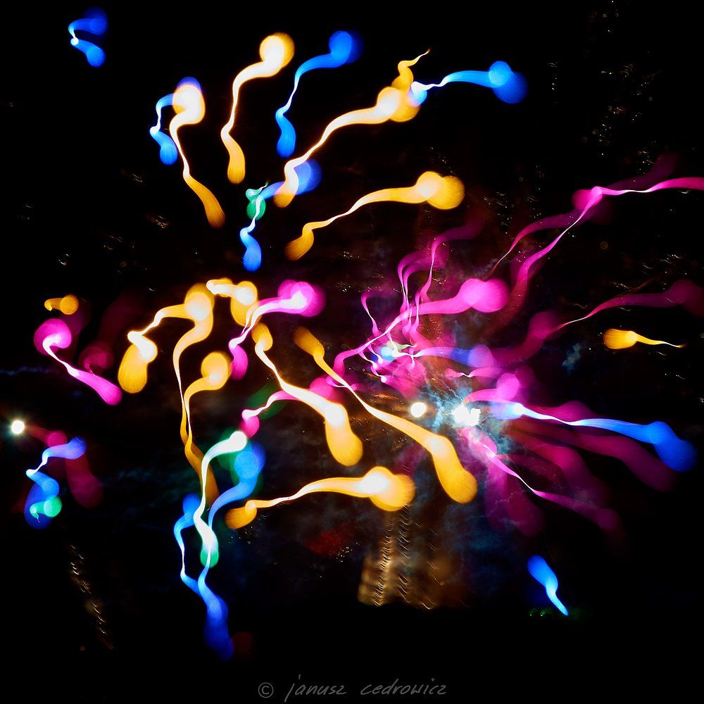 firework, fireworks, explosion, sky, night, lights, colors, colorful, art, abstract,, Janusz Cedrowicz