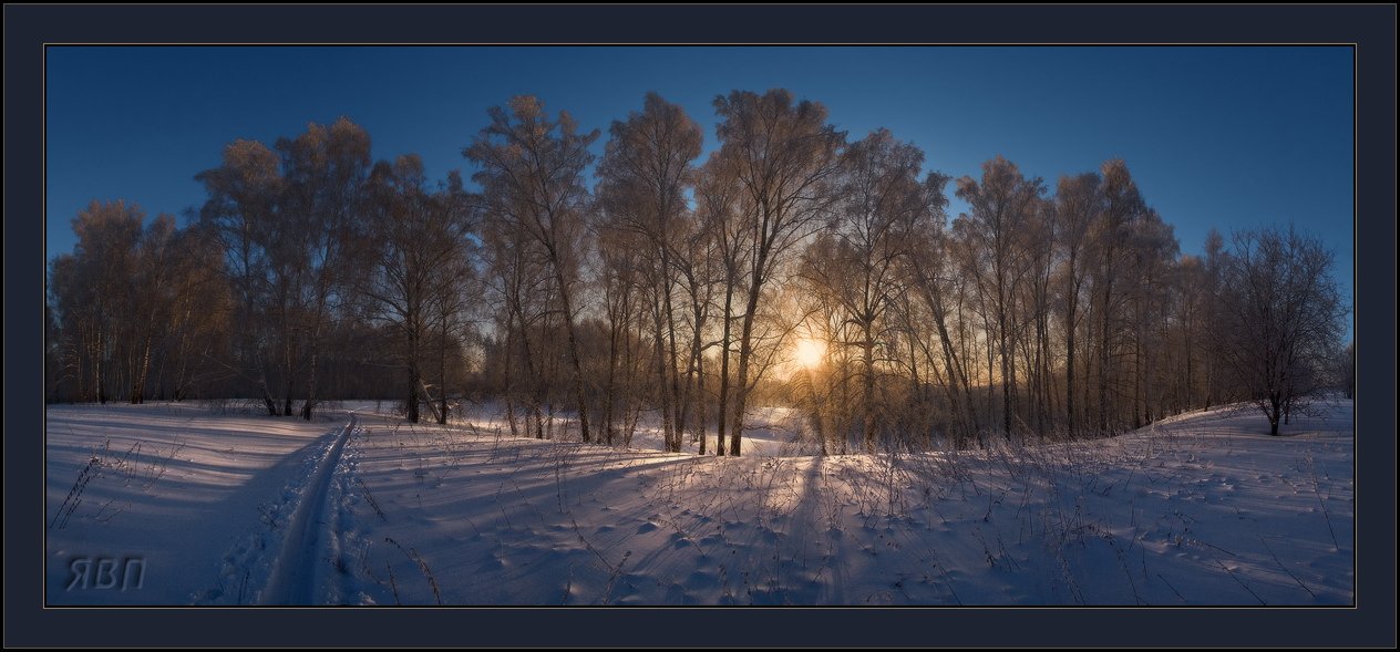 утро, лес, снег, зима, Виталий из Н-ска