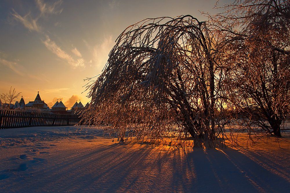 зима, вечер, снег, деревья, забор, Oleg Dmitriev