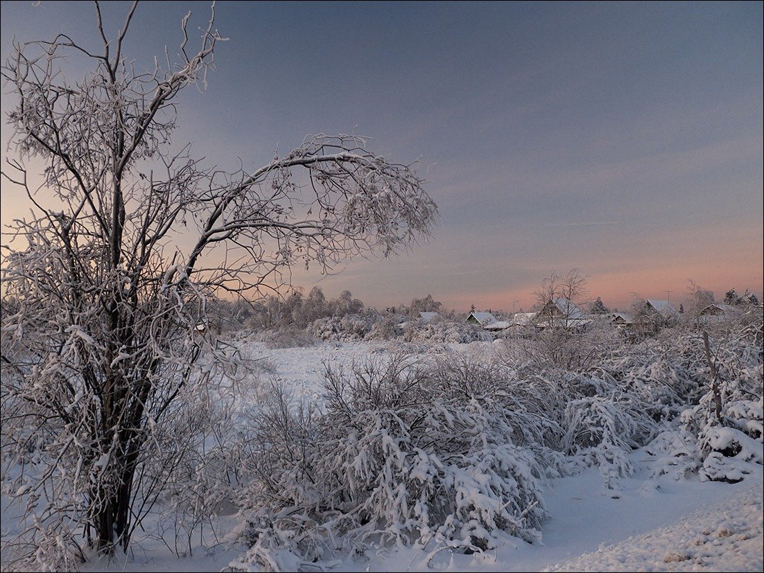 зима, январь, рождество, снег, деревья, деревня, Валерий Иванович
