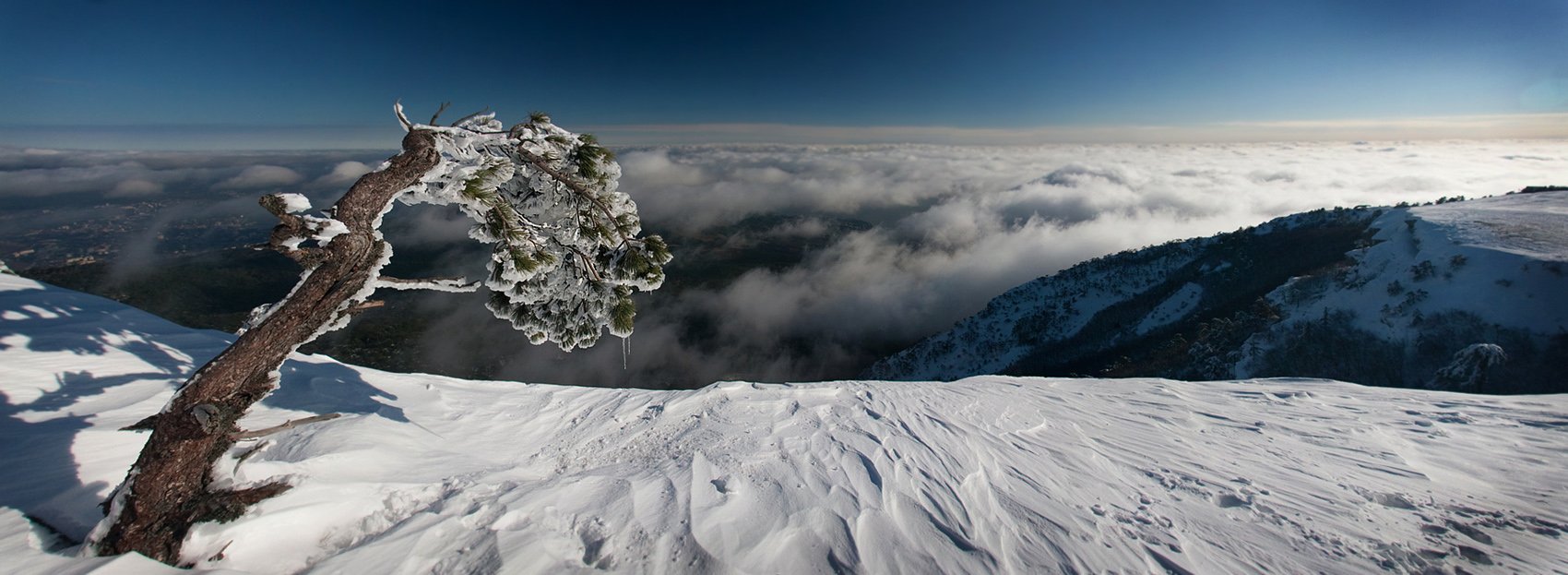 зима, сосна, снег, горы, Anastasia Aymilios