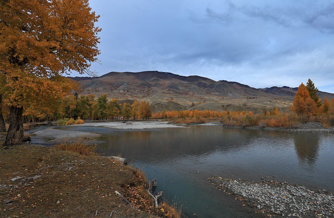 осенний пейзаж, осень, природа, алтай, горы, река, берег, Sokolova Tatiana