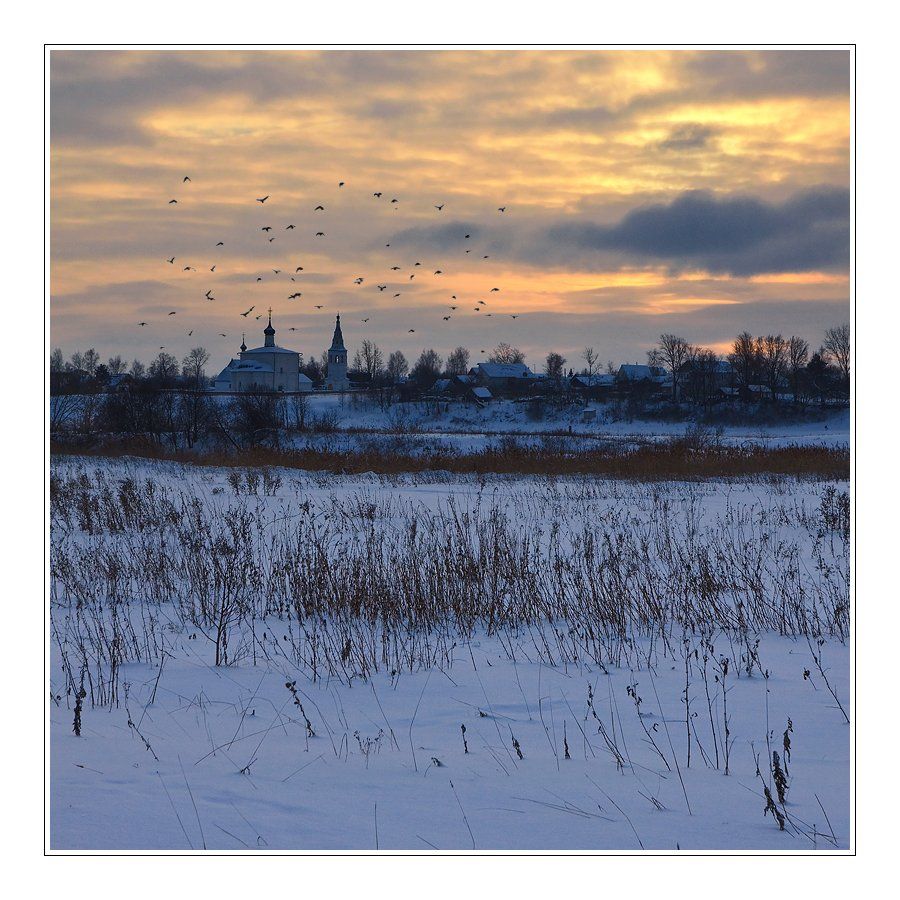 зима, пейзаж, снег, деревья, дома, деревня, церковь, поле, птицы, небо, Oleg Dmitriev
