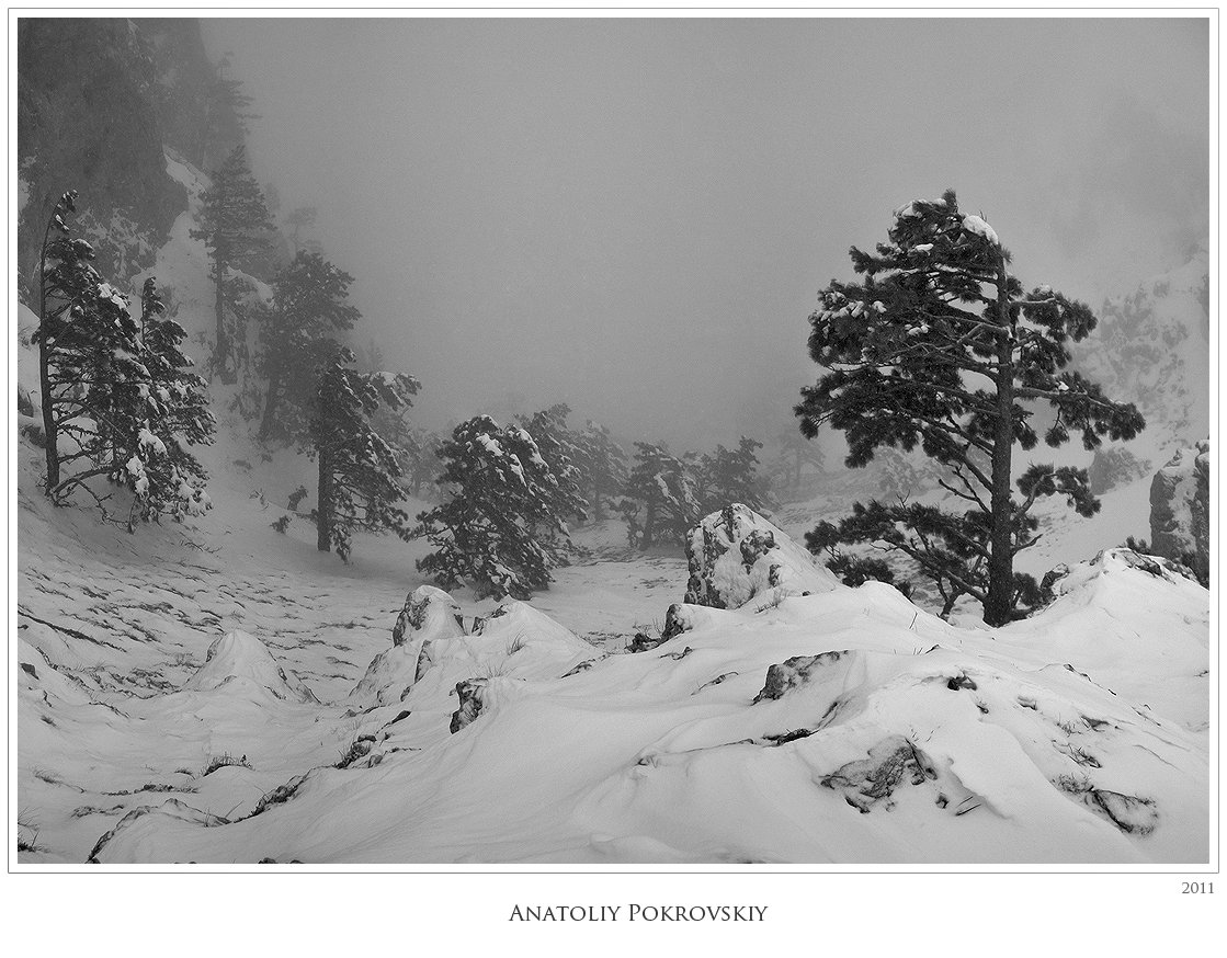 снег, зима, горы, крым, туман, анатолий покровский, Анатолий Покровский