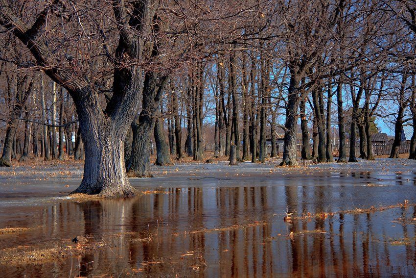 canon 40d, ef-s 17-85 mm f 4-5.6 is usm, Дмитрий Шмелёв