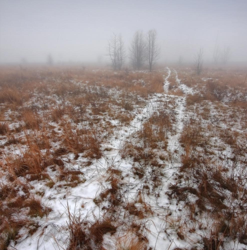 зима, туман, оттепель, Петриченко Валерий