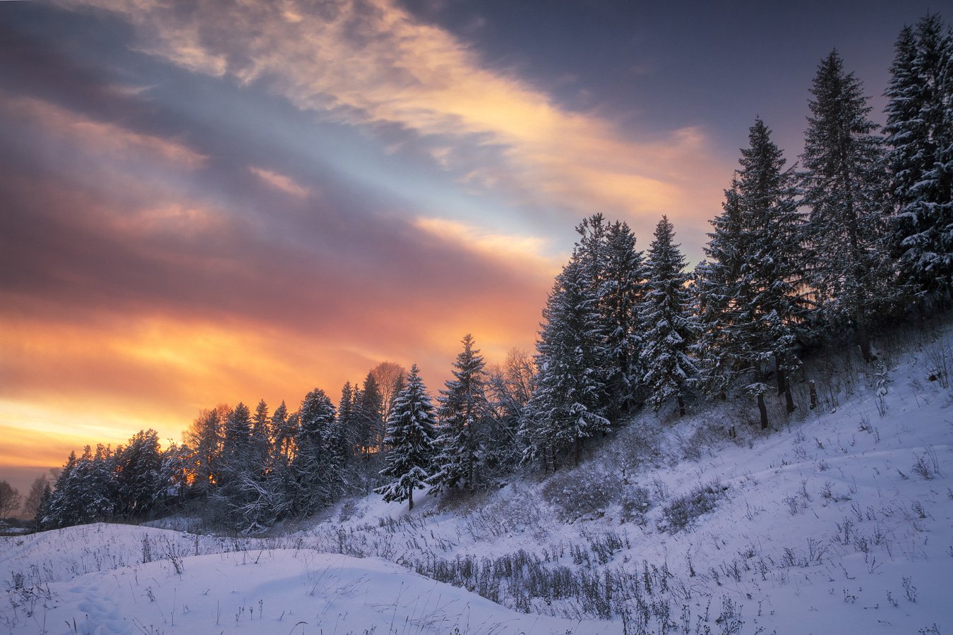 35photo Awards зима