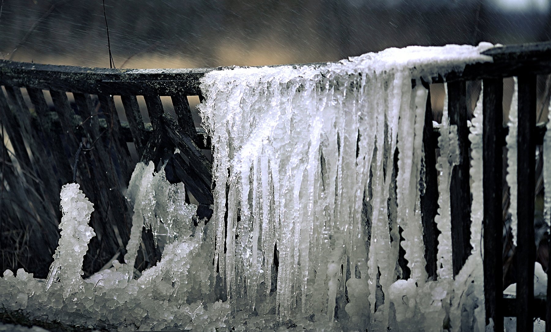 оледеневший забор зима холод лед забор помолейко pomoleyko fence cold ice frozen, Павел Помолейко