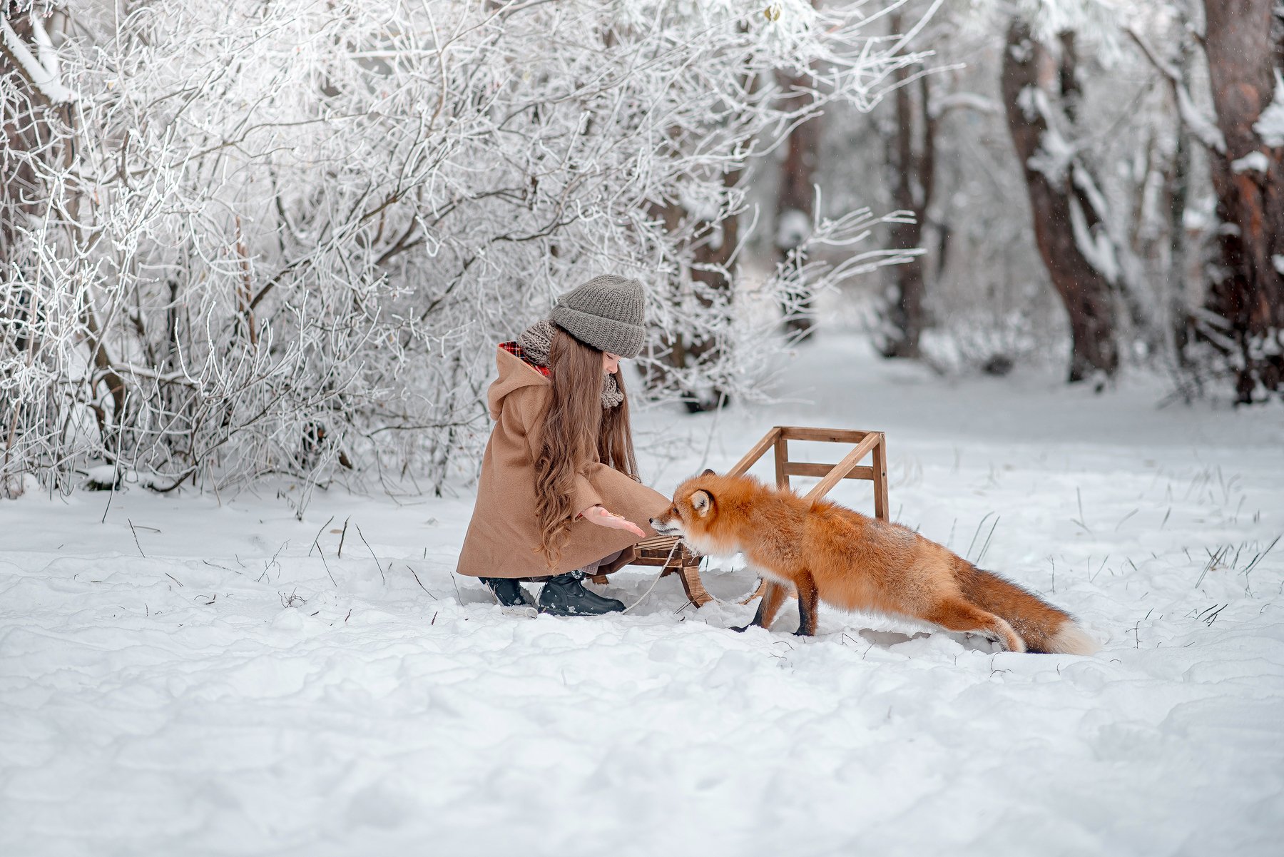 ребенок, лиса, семья, зима, fox, kids, forest, Стрелкова Мария