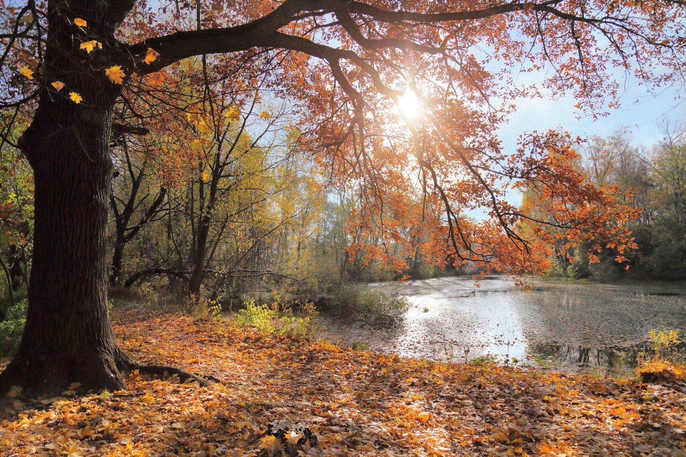 осень, пруд, солнце, краски, Виктор Климкин