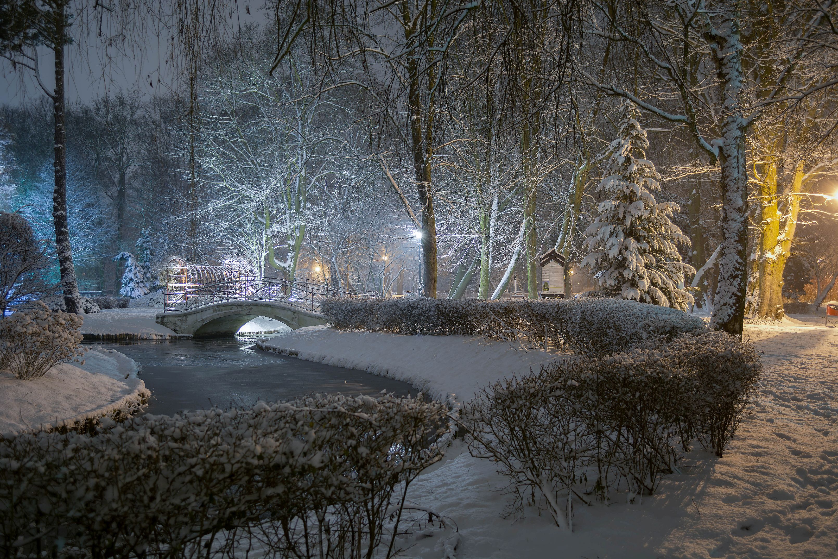 park,winter,even,nikon,trees,pond,illumination,snow,landscape,nature,, Krzysztof Tollas