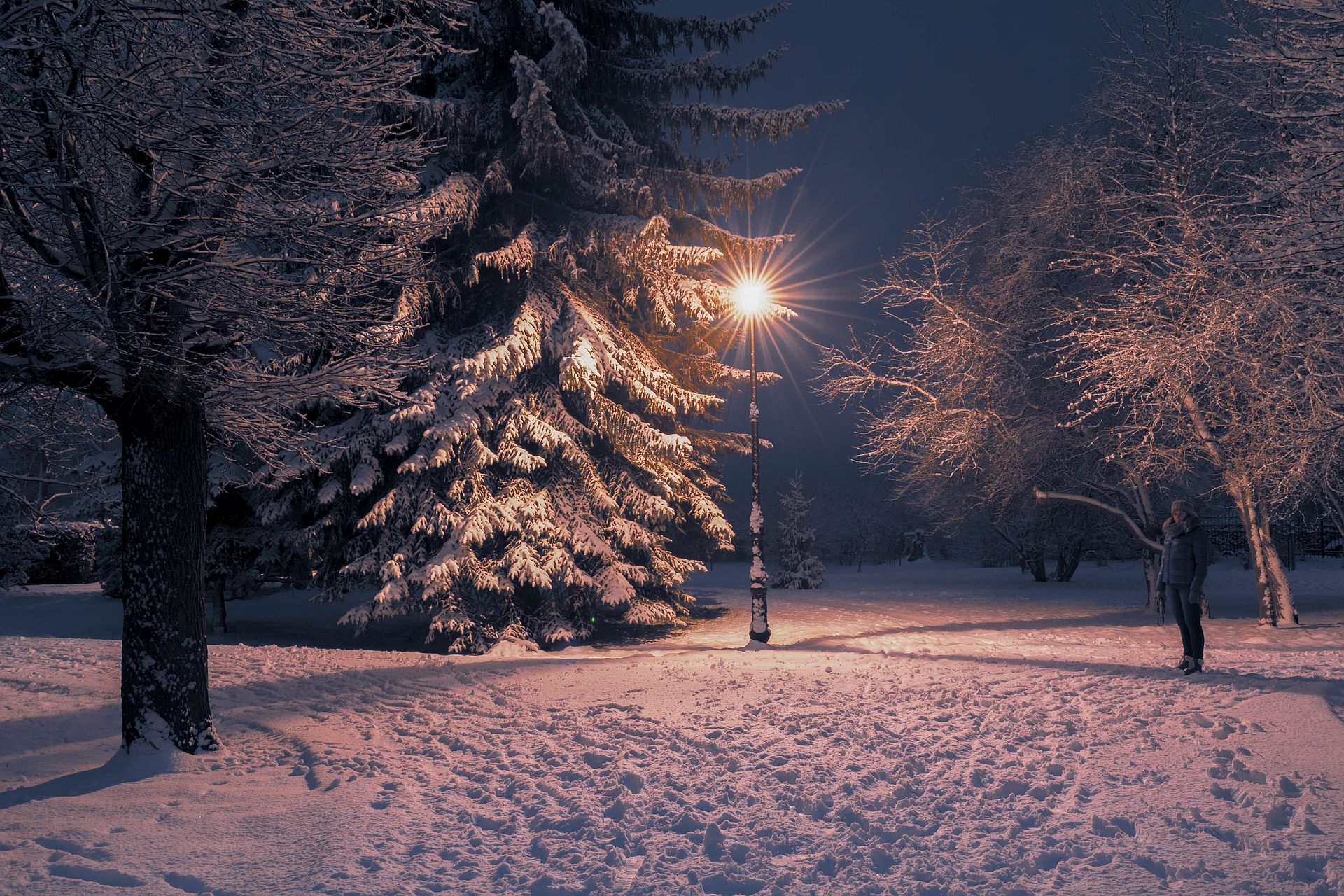winter,snow,sky,park,nature,landscape,woman,lighting,evening, Krzysztof Tollas