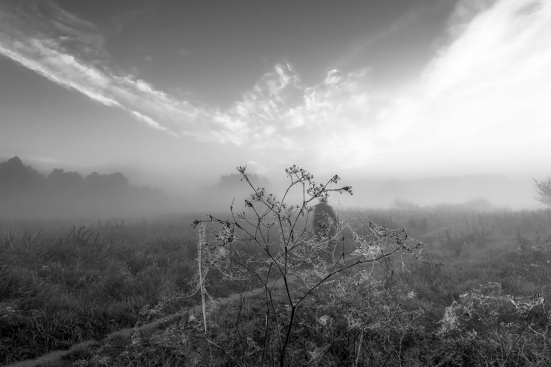 dawn,fog,sky,man,bike,sunrise,clouds,sunlight,nature,landscape,mist,nikon,dirt road,, Krzysztof Tollas