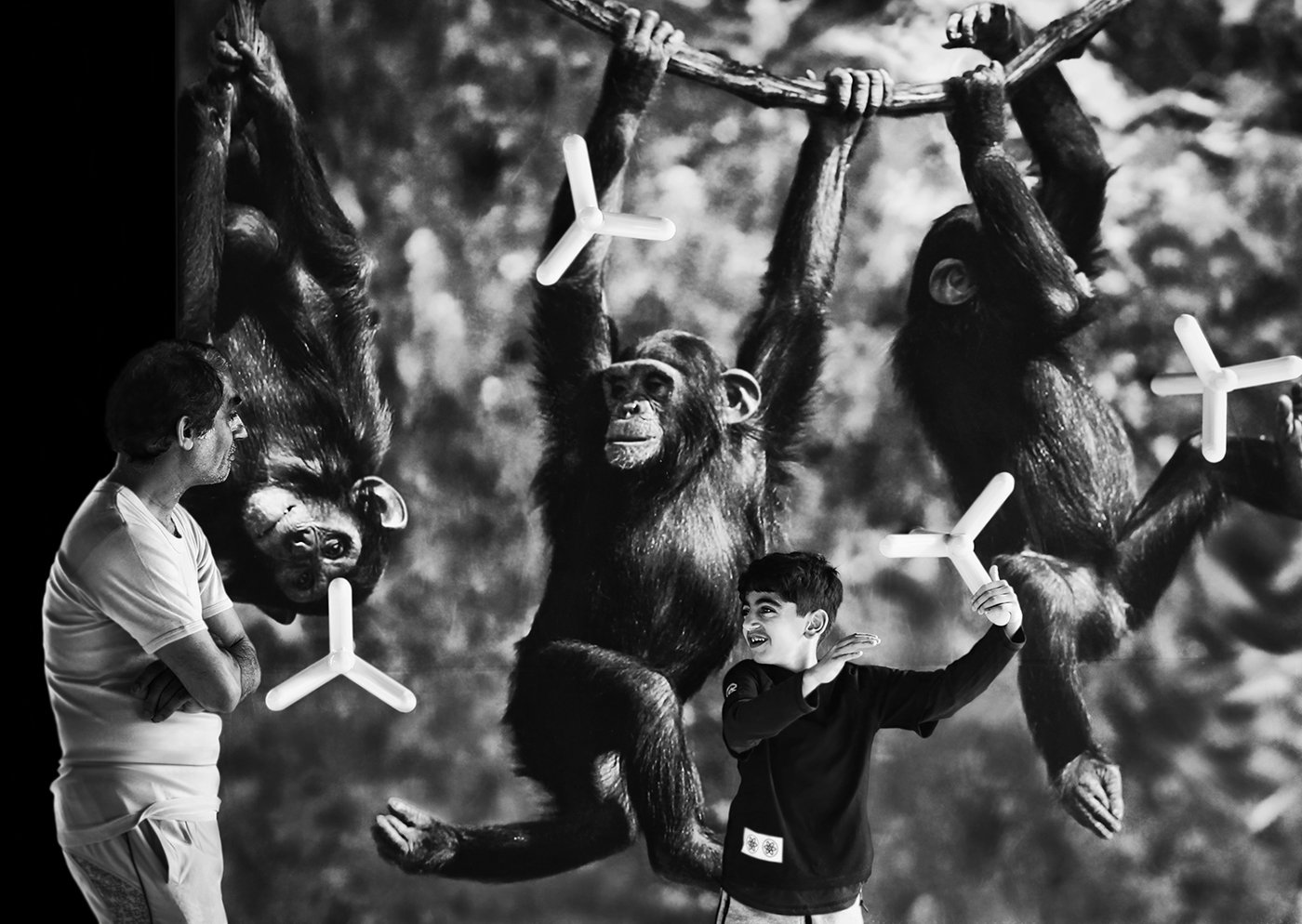 шимпанзе, обезьяны, мальчик, фотообои, развлечение, ALLA SOKOLOVA
