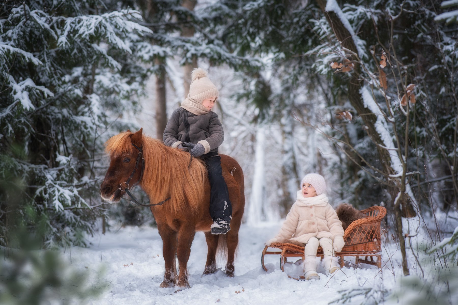 дети мальчик девочка лошадь лошадка пони зима мороз снег лес сосны деревья березы санки саночки прогулка, Елена Успенская