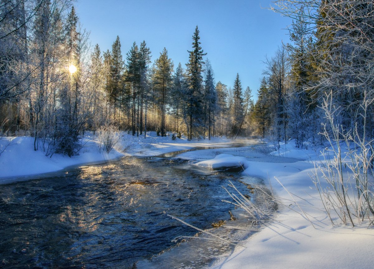 карелия,зима,пейзаж,лес,река,русская зима,зимний пейзаж, karelia, winter, Mashin Rostislav