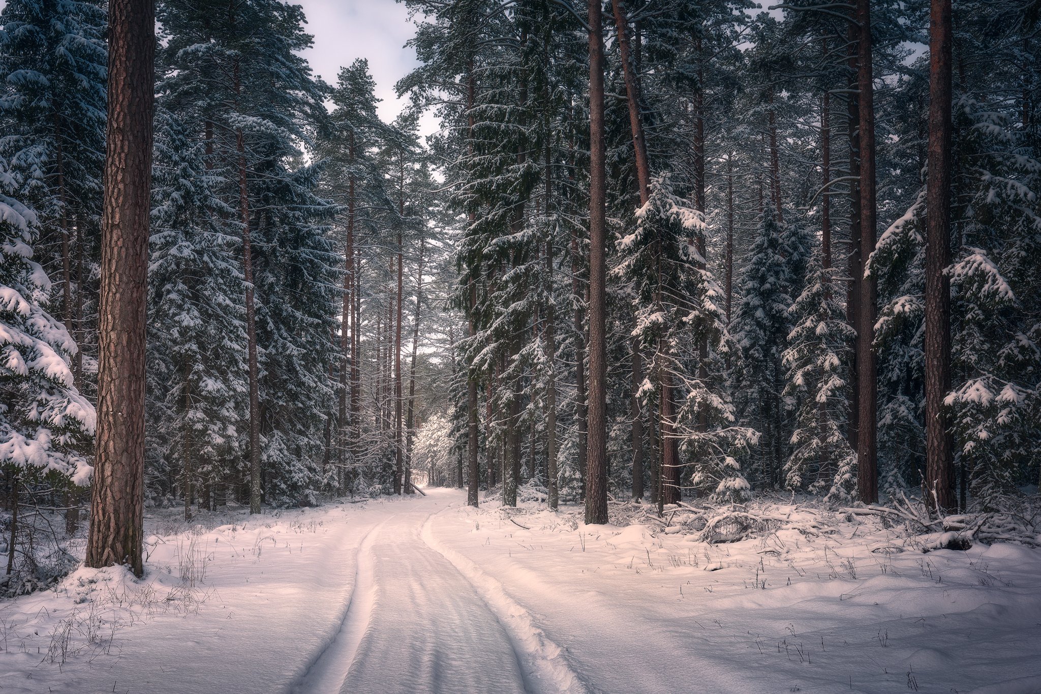 winter snow poland podlasie sky woods clouds colors mood forest puszcza knyszyńska road, Maciej Warchoł