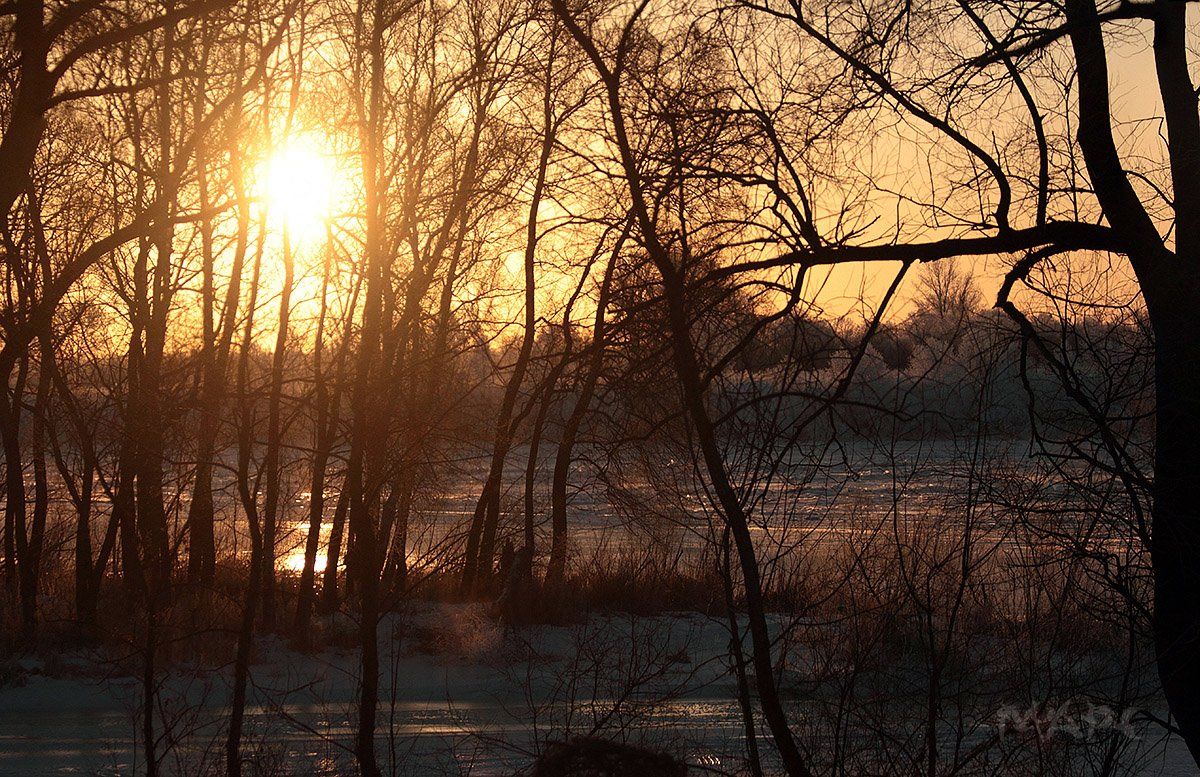 пейзаж январь мороз солнце, Шангареев Марс