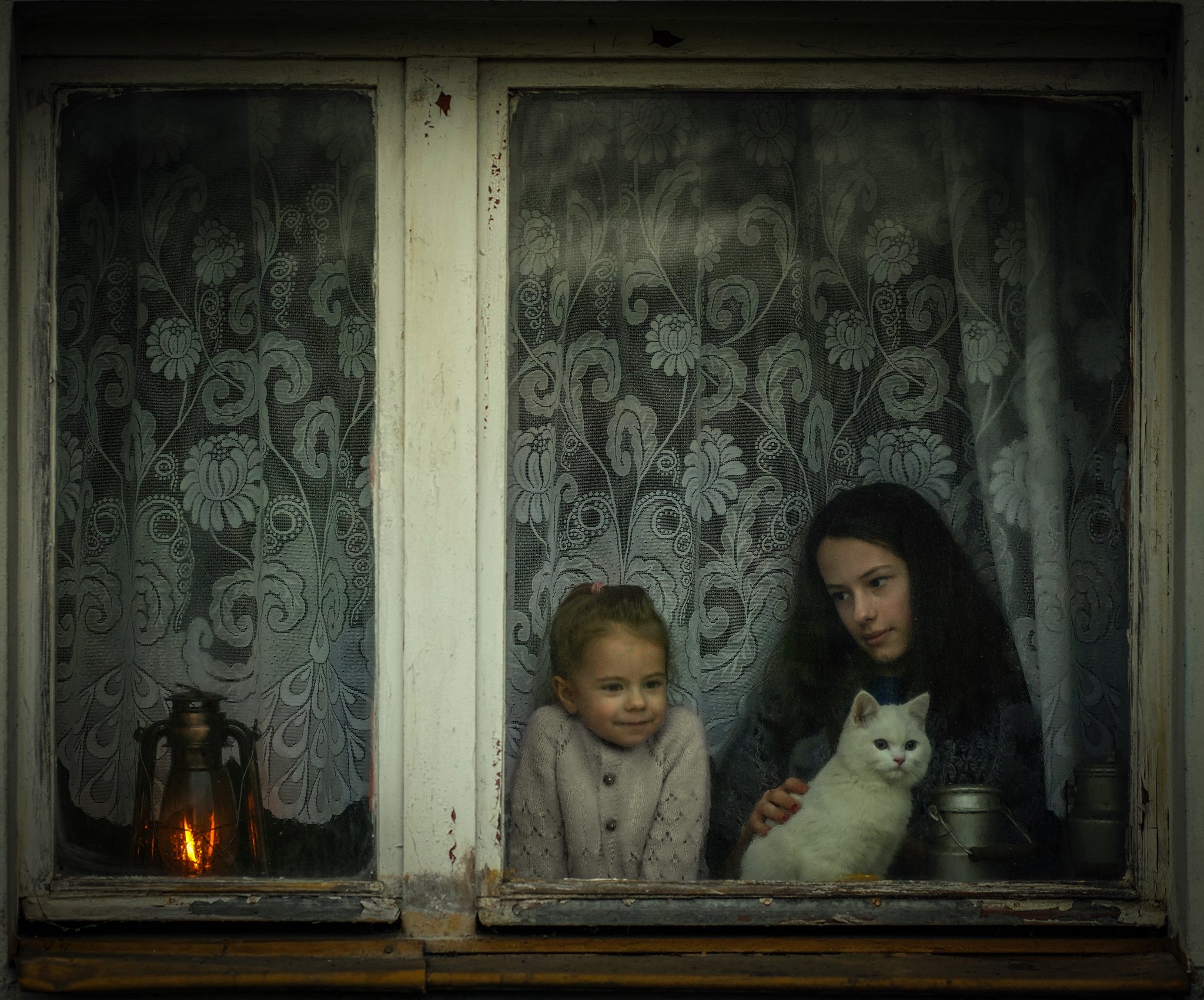 дети в окне chilldren window magic white cat light fire lamp, Radoslaw Dranikowski