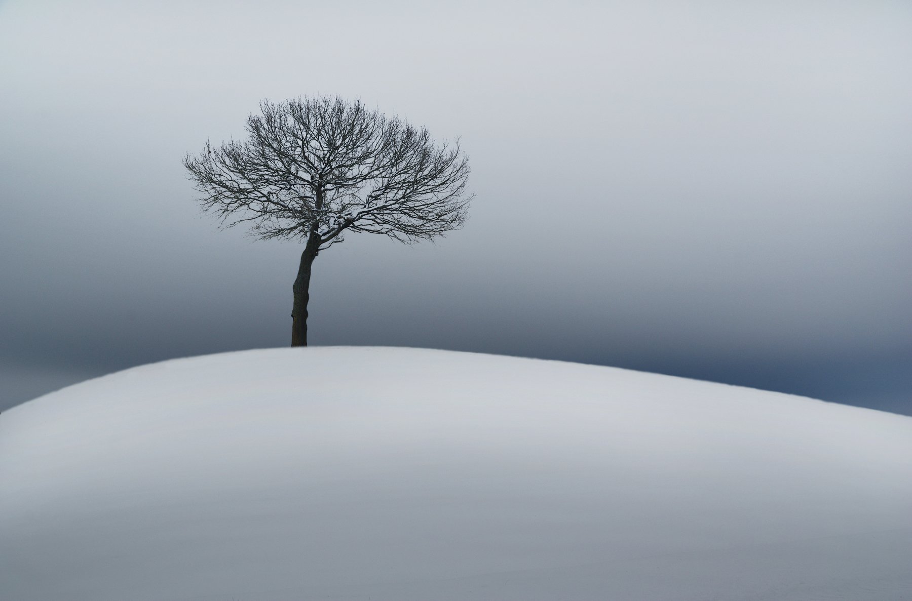 winter, tree, snow, sky, clouds, Mindaugas Žarys