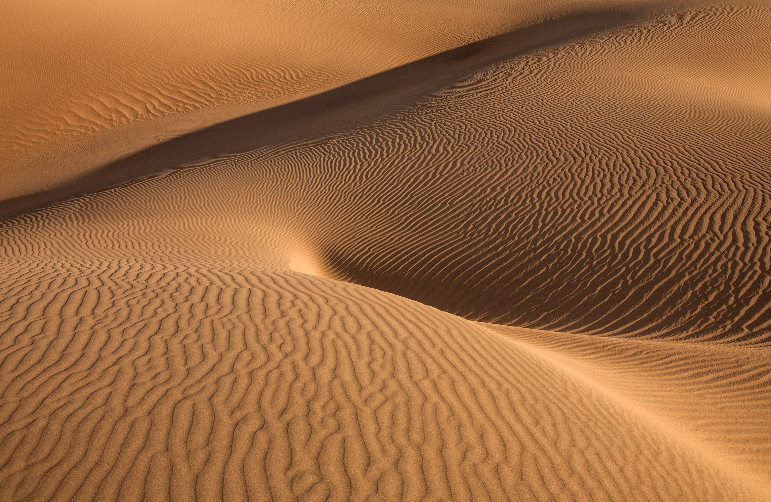 пустыня, песок, фактура, дюны, mesquite flat sand dunes, долина смерти, изгибы, формы, фантазия, антон селезнев, Антон Селезнев