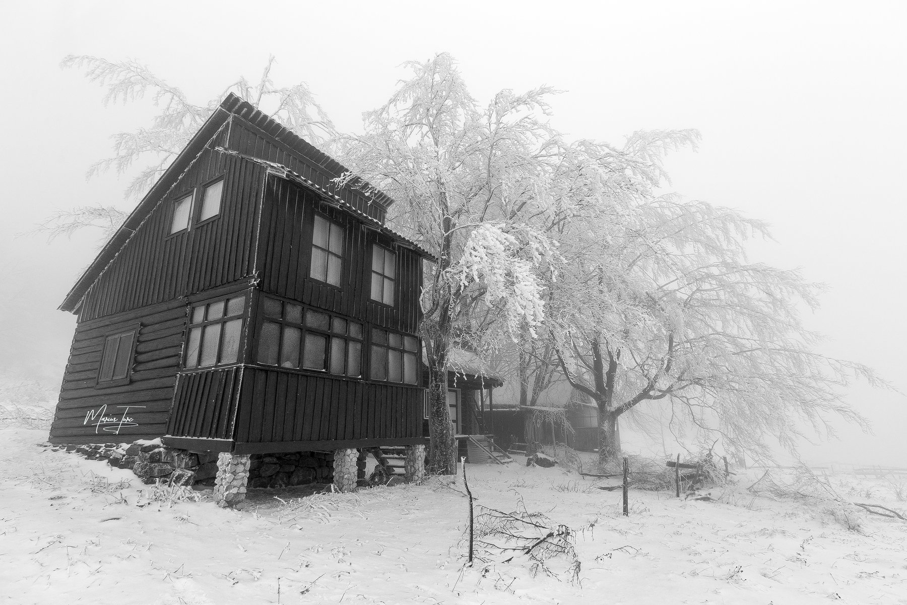 morning,winter,snow,romania,nature,, Marius Turc