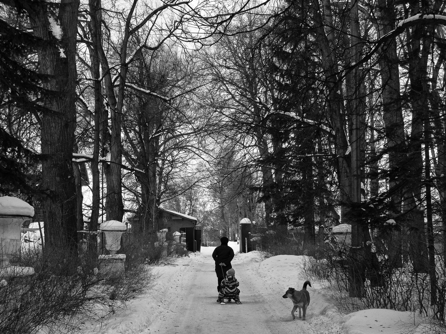 Road, Winter, Child, Black and white, Monochrome, Street, Bykovo, Russia, Elena Beregatnova