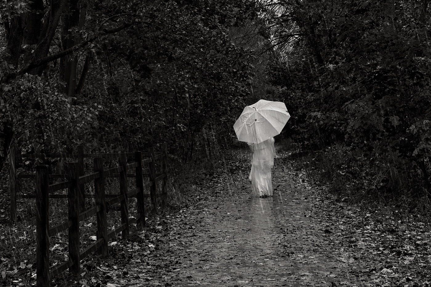 черно-белое, зонт, дождь, девушка, парк, black-white, GaL-Lina