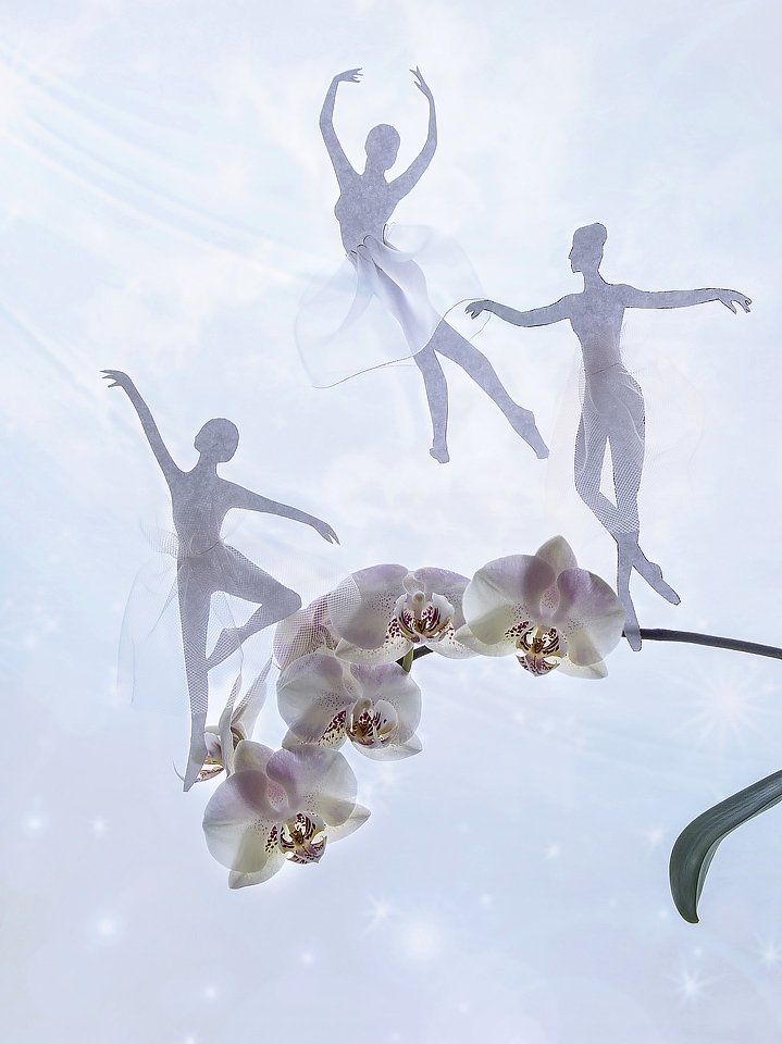 натюрморт, художественное фото, атмосферность, фигурки балерин, бумажные фигурки, ветка цветущей орхидеи, Ирина Приходько