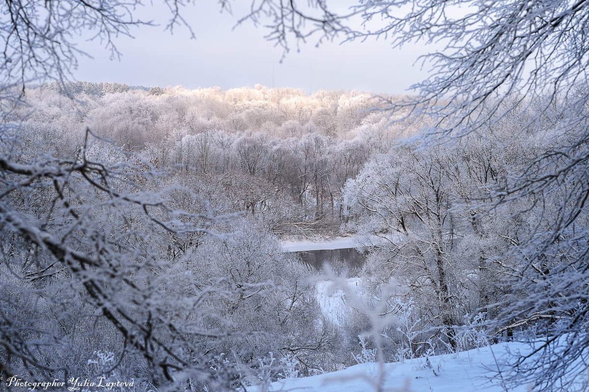 пейзаж,природа,зима,россия,иней,снег, Юлия Лаптева