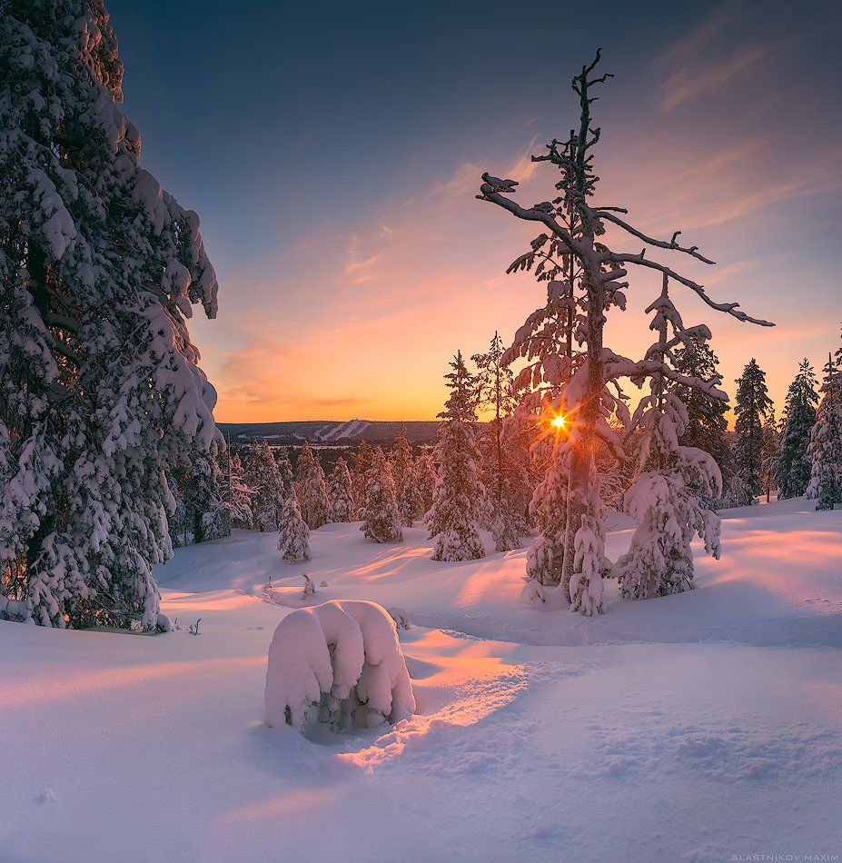 Lapland, Finland, snow, cold, winter, trees, sun, sunlight, sunset, alone, outdoor, scenic, freeze, cold, hills, mountains, explore, travel, Rovaniemi , Максим Сластников