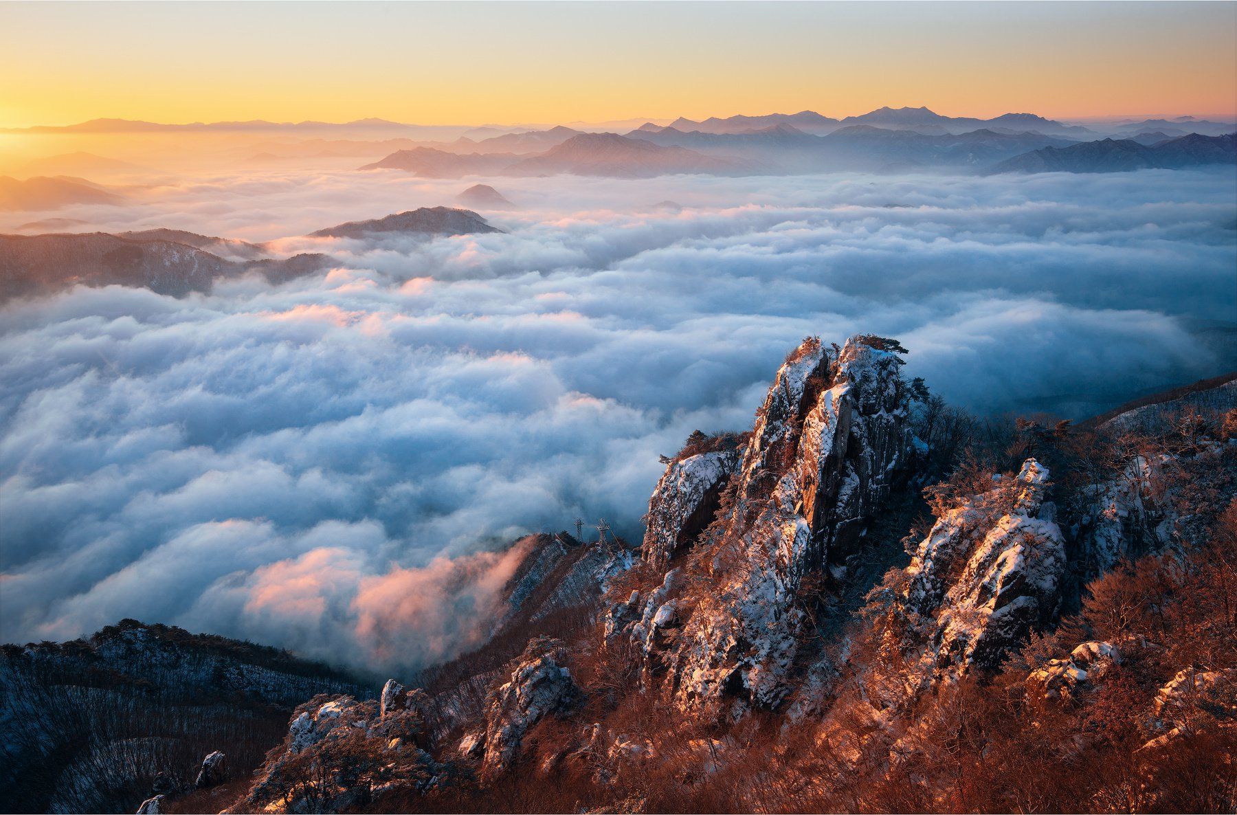 korea, Nathaniel Merz