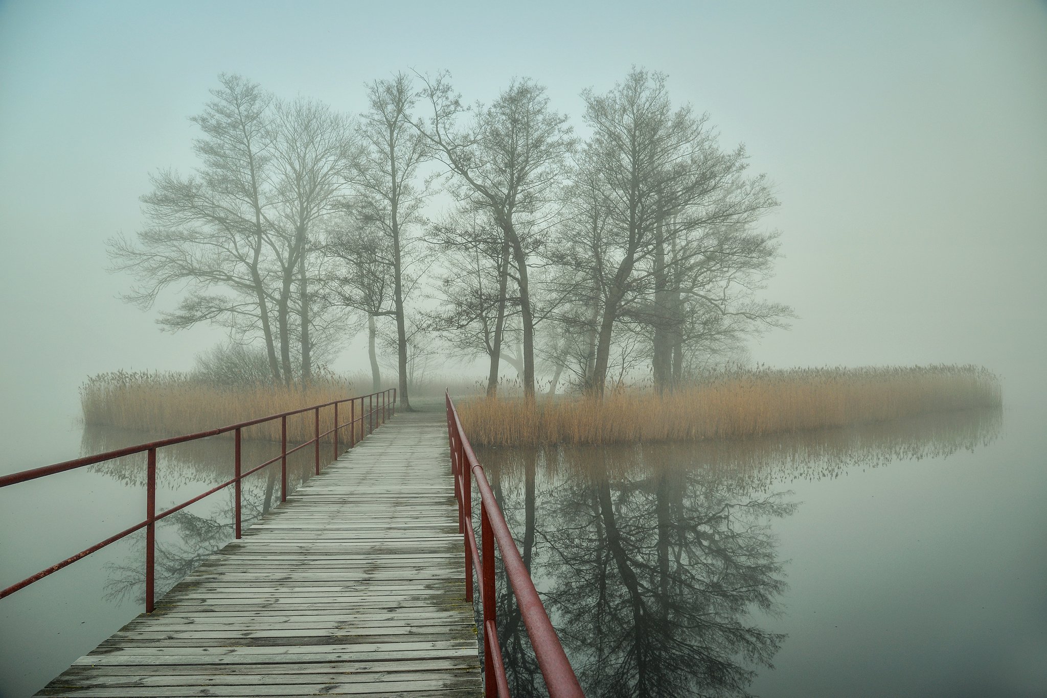island wyspa lake water poland tree trees bridge foggy mist magic silence, Radoslaw Dranikowski