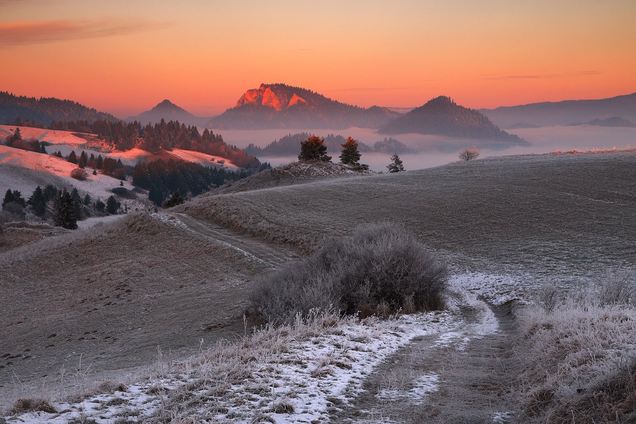 morning, sunrise, mountains, pieniny, trzy korony, light, mist,, Jacek Lisiewicz