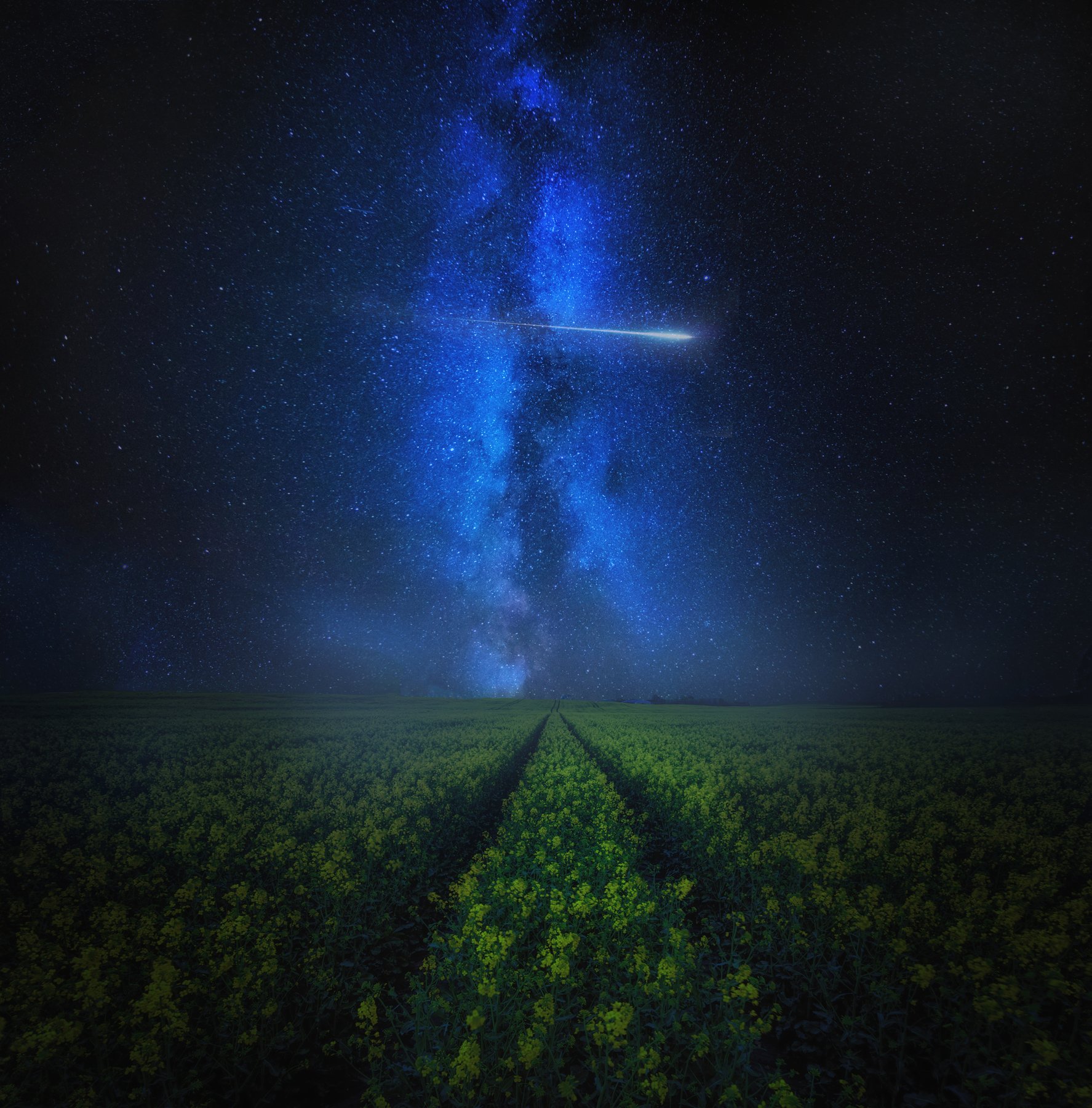 night, Milky Way, rape field, fields, meteor, sky, Milosz_G
