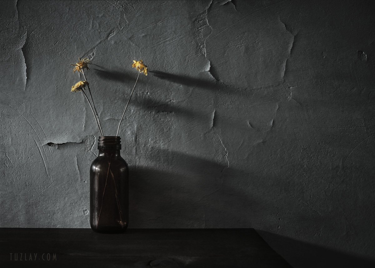 засушенная пупавка, цветок в бутыльке, Владимир Тузлай