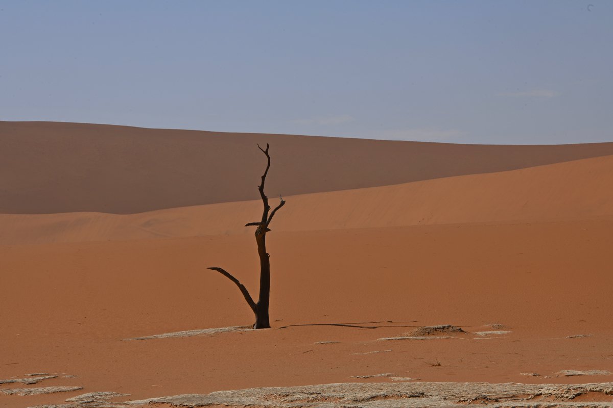 пустыня намиб, Александр Маркелов