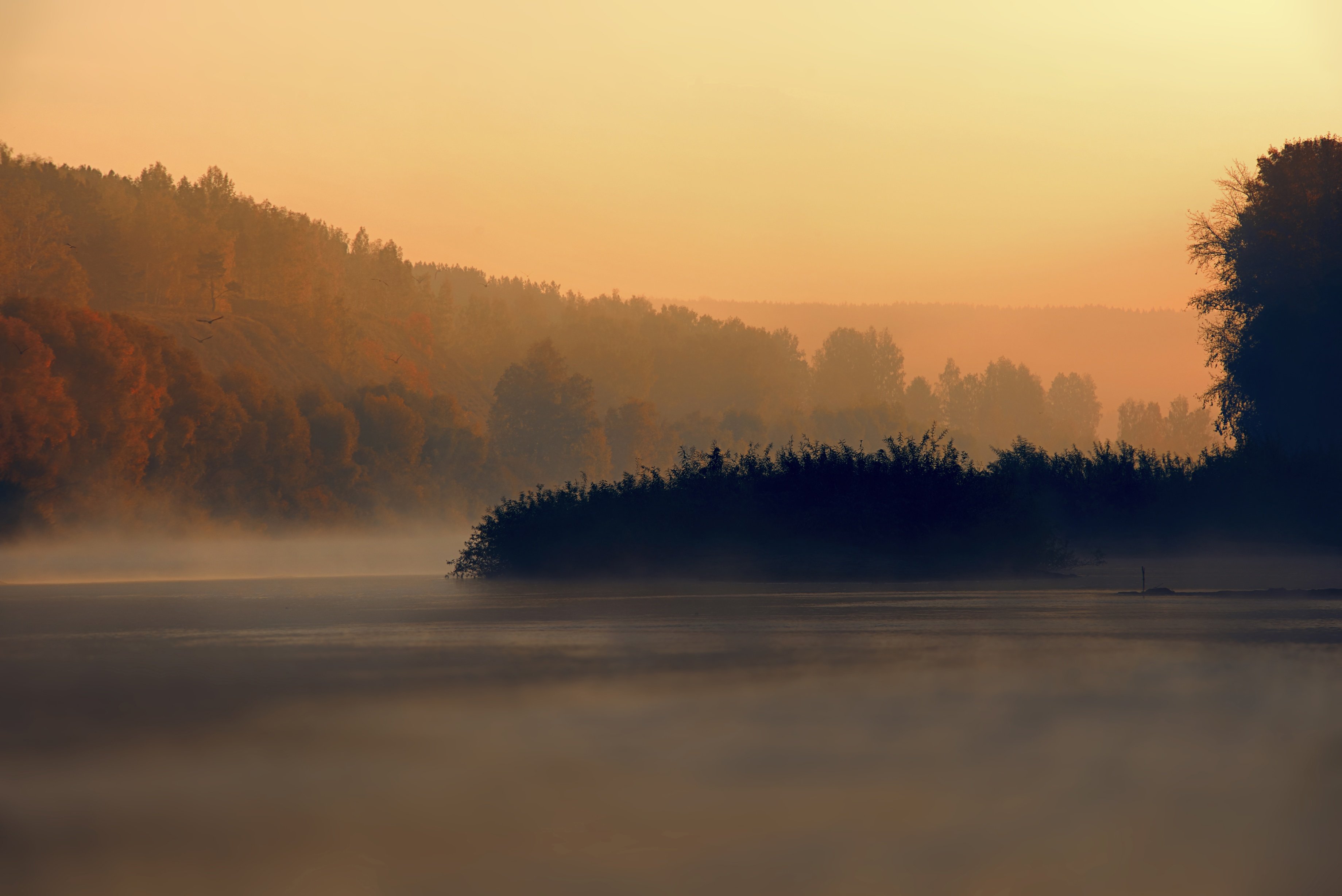 осень, рассвет, утро, пейзаж, природа, река, туман, деревья, Георгий Муравьёв