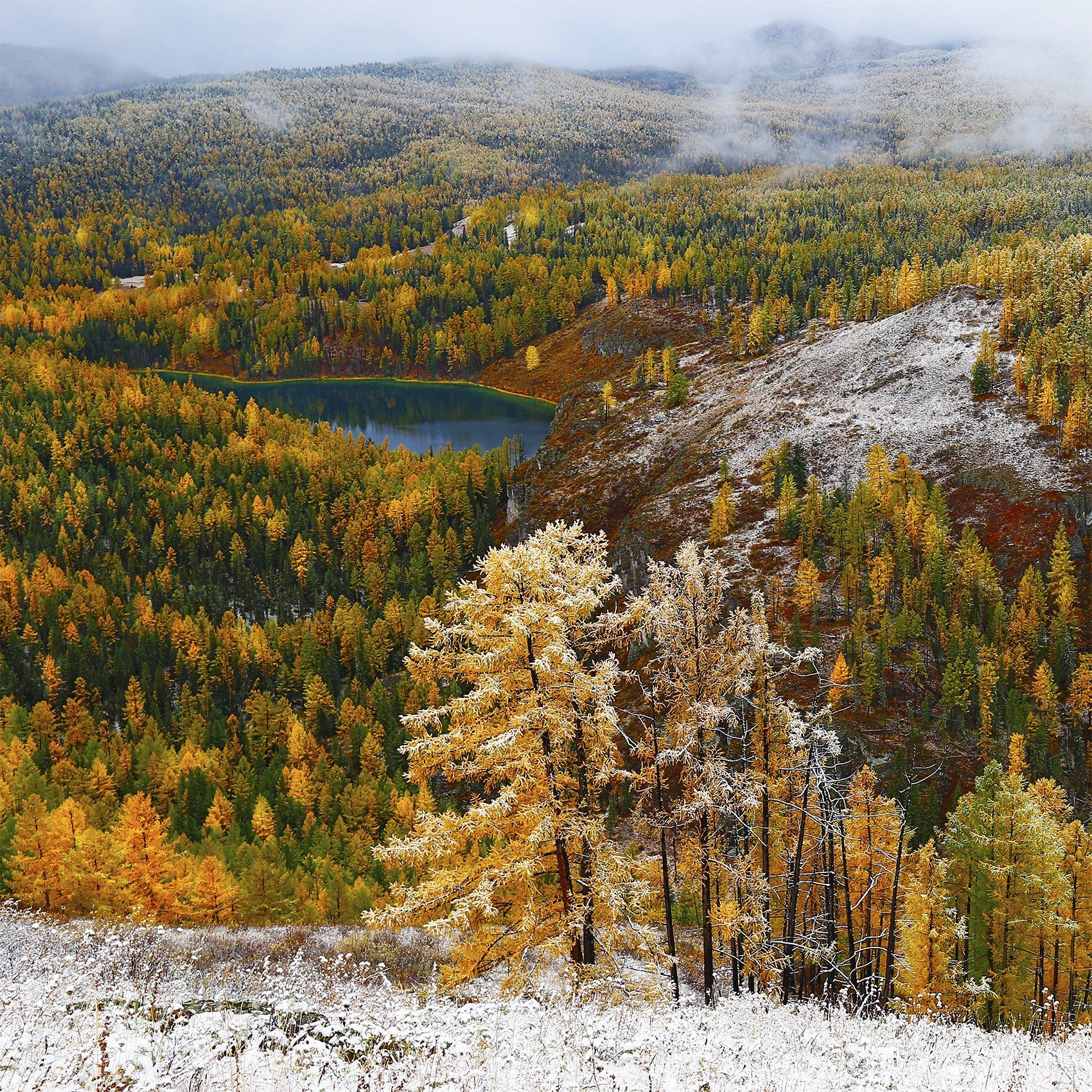 Алтай, Горный Алтай, осень, первый снег, Константин Маланин