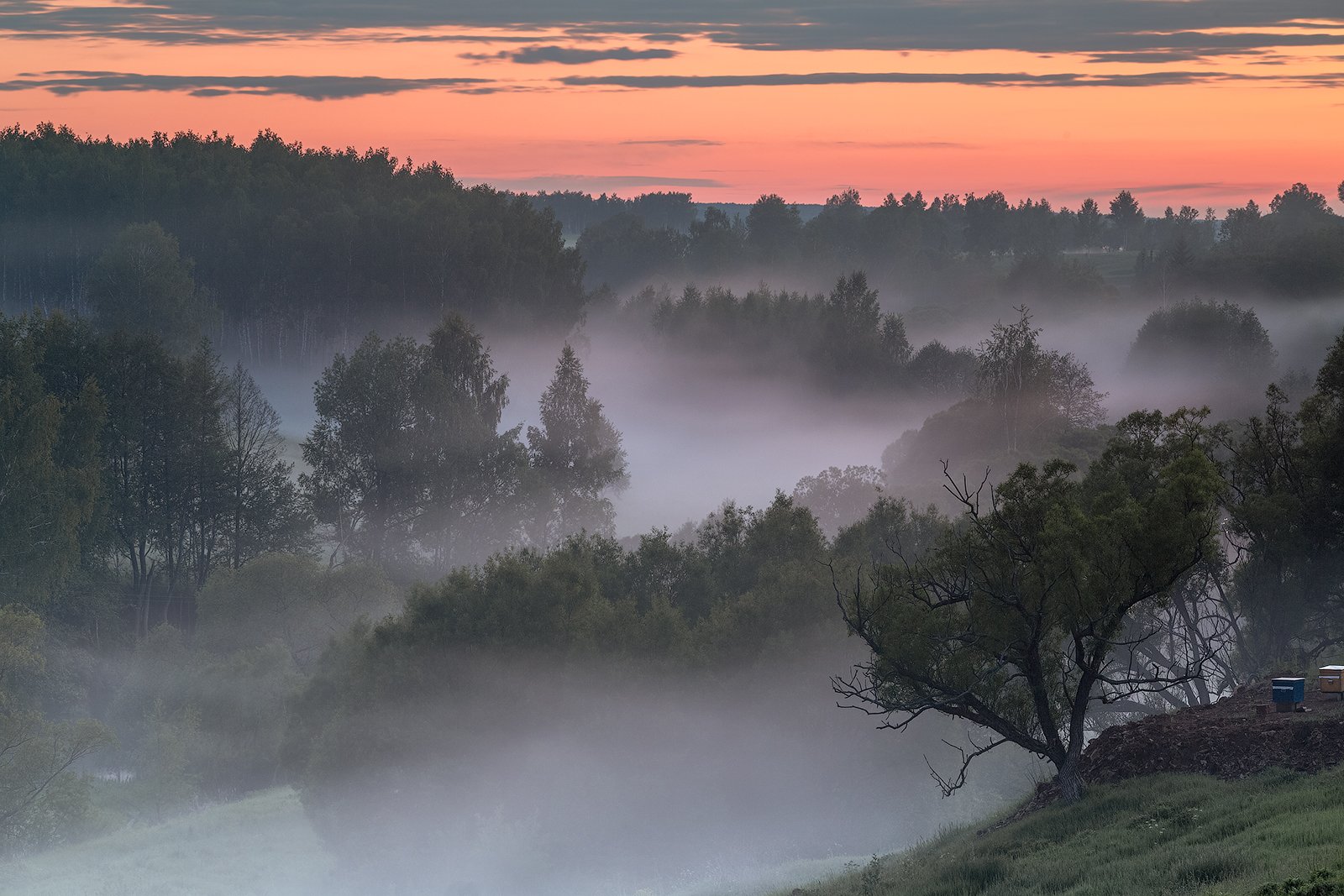 landscape, пейзаж, sunset, туман,, Алексей Самойленко